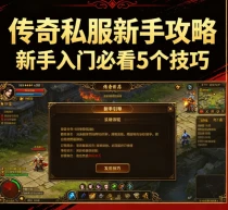 传奇私服新手攻略 新手入门必看5个技巧